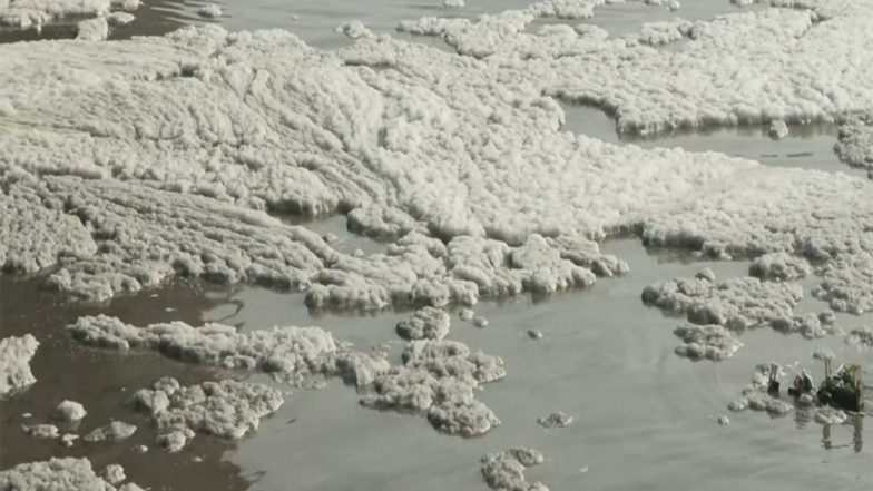 India News | Delhi: Yamuna's Kalindi Kunj Stretch Covered in Toxic Foam Amid Government's Cleanup Efforts