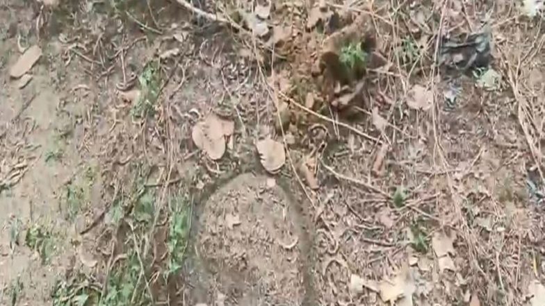 India News | Punjab: Extortion Suspect Apprehended After Encounter in Punjab Police in Tarn Taran