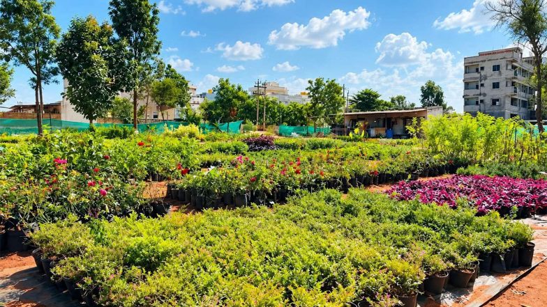 Business News | Urvann Goes Back to the Roots With Its Own Farms to Put Plant Quality and Customer Experience First