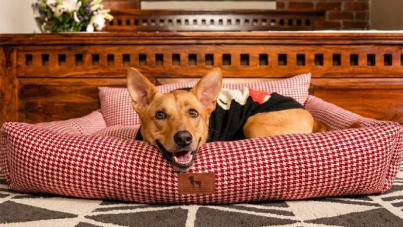 Business News | HUFT’s Winter ‘26 Collection Is Made for Moments That Feel Like a Hug