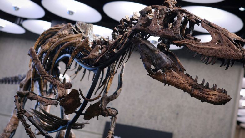 Entertainment News | Rare Nanotyrannus Skeleton Sells for USD 47.3m at New York Auction