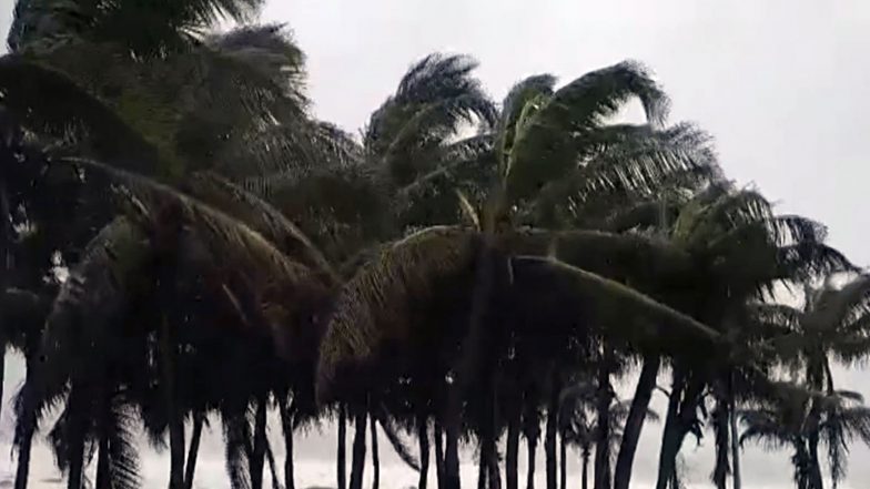 India News | Cyclone Arnab Completes Landfall in Andhra Pradesh, IMD Warns of Heavy Rainfall in Odisha