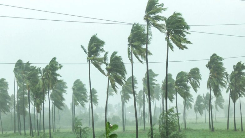 India News | Cyclone Arnab to Move North-northwestwards over Next 24 Hours, Weaken Further by Midnight: IMD