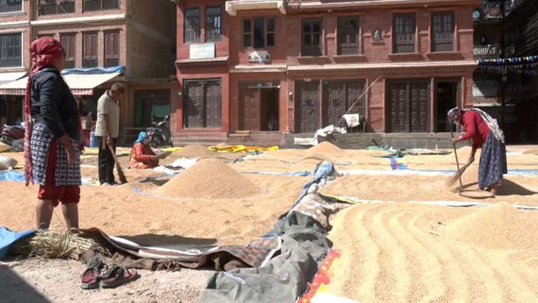 World News | Nepali Farmers Bear the Brunt of Climate Change and Accelerating Tropical Cyclonic Events