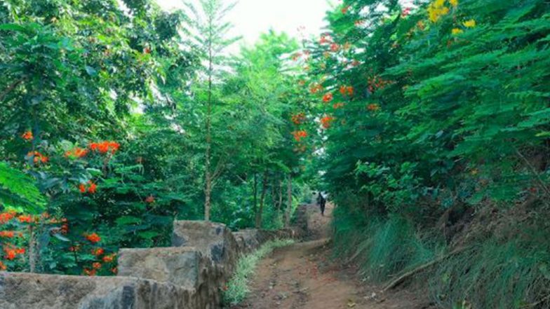 India News | PM Modi to Inaugurate 2.62-km 'Trail of United India' Eco-trail at Gujarat's Ekta Nagar on October 31