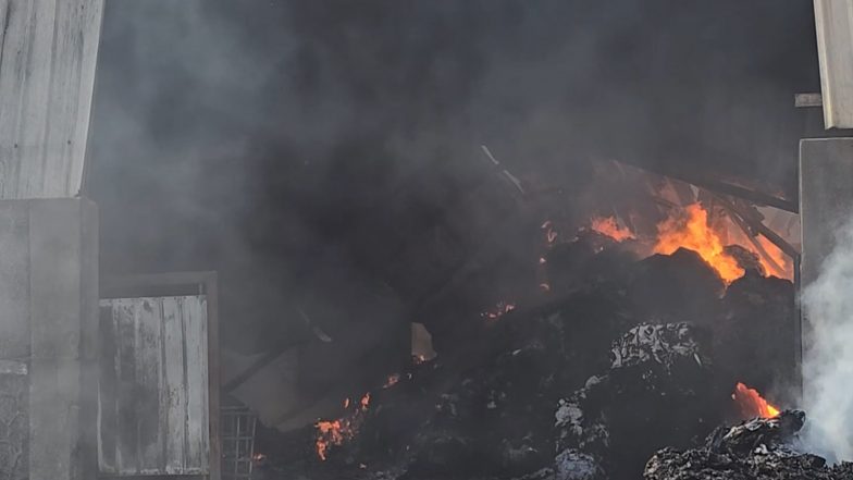 India News | Fire Breaks out at Two Companies in Gujarat’s Kandla SEZ