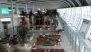 Mumbai Airport Terminal 1B Redevelopment Set for January 2027 Over Safety Concerns; Capacity To Rise by 33%