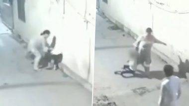 Amritsar Assault: Woman Slaps, Drags 5-Year-Old Girl; CCTV Footage Surfaces