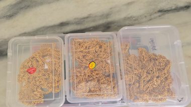 Gujarat Gold Robbery Solved Within Hours as Police Arrest 4, Recover 2.90 Kg Gold Worth INR 4 Crore