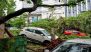 Cyclone Arnab: 8 Dead in Andhra Pradesh as Storm Uproots Trees, Damages Homes and Disrupts Power Supply