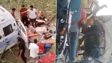 Kota Accident: 8 Killed As Minibus Falls Into Ditch on Delhi-Mumbai Expressway in Rajasthan