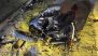 Three Killed, 3 Injured in Bike and Scooter Collision in West Bengal’s Kolaghat